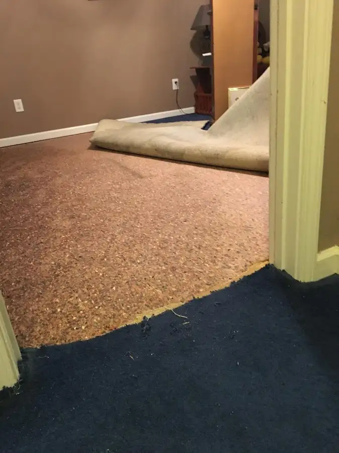 Carpet pad removal revealing water damage during Water Mitigation Services in Scottsboro